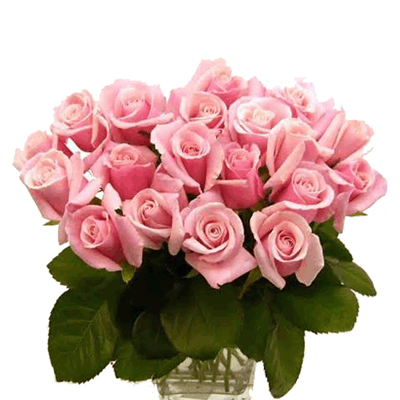roses online delivery in mysore