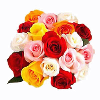 Send wedding day red roses to mysore