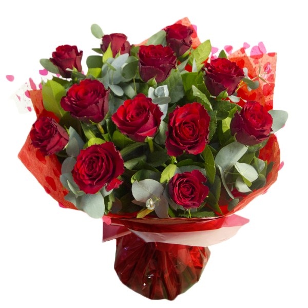 Bunch of 20 classic Red Roses