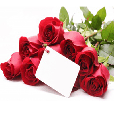 bunch of 60 red roses & valentine card.