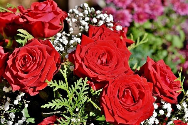 send flowers to mysore