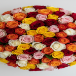 Roses Mysore