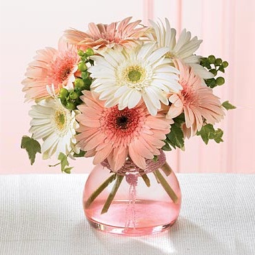 pink & white gerberas in vase