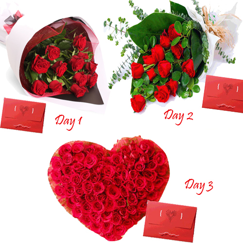 valentine day roses delivery  in mysore