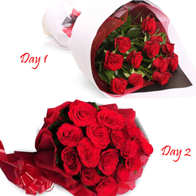 send Valentine Roses to mysore