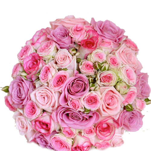 valentine day roses gifts to hubli